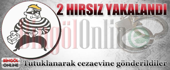 2 hırsız yakalandı