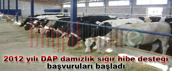 2012 yılı dap damızlık sığır hibe desteği başvuruları başladı