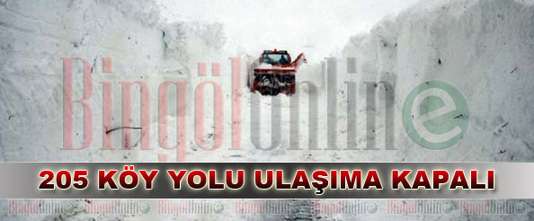 205 köy yolu ulaşıma kapalı