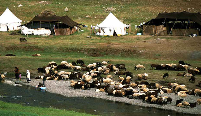 45 yayla kiraya verilecek