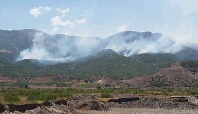 50 hektarlık alan yanıyor