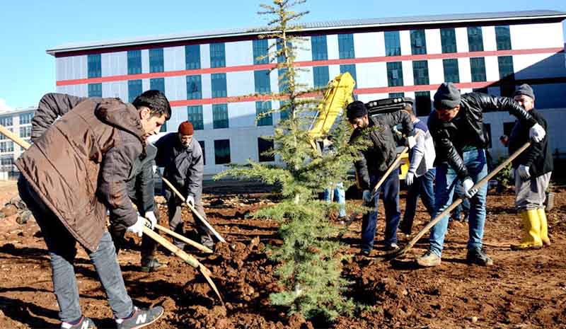 Kampüse Bin 200 fidan ekildi