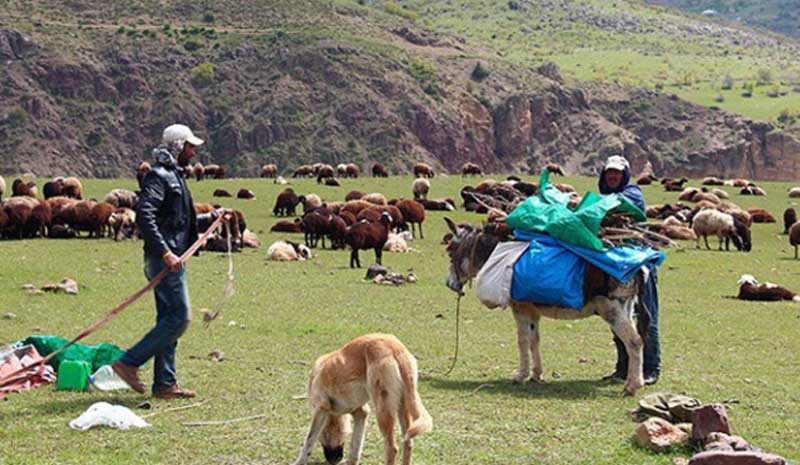 Yayla yasağı kalkıyor!