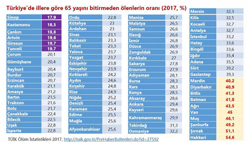 Bingöl`ün Yüzde 33`ü, 65 Yaşını Görmüyor