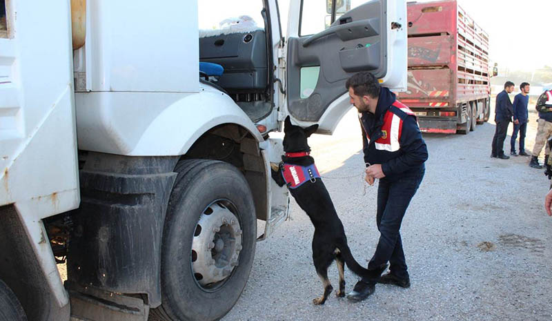 60 kişiye 170 bin lira ceza kesildi