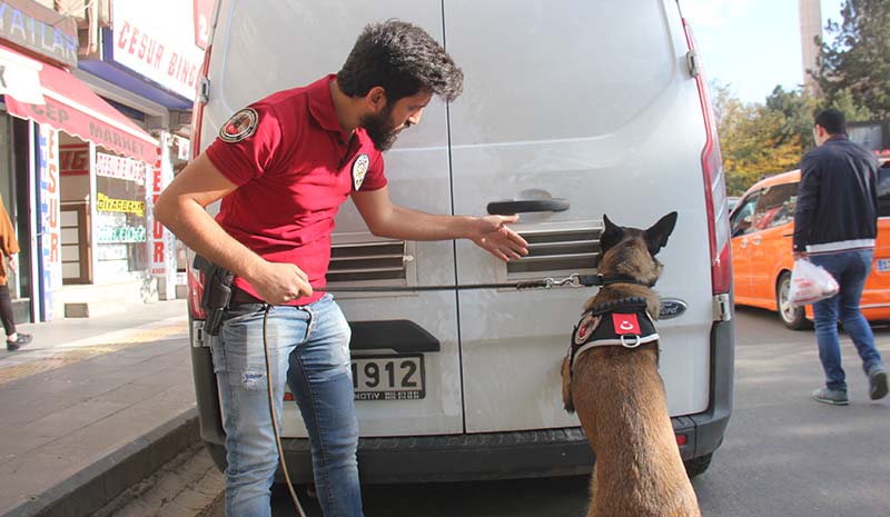 Narko köpek Alice ilgi odağı oldu