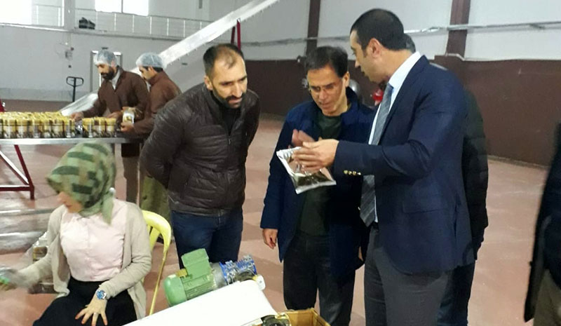 Firmaları inceledi