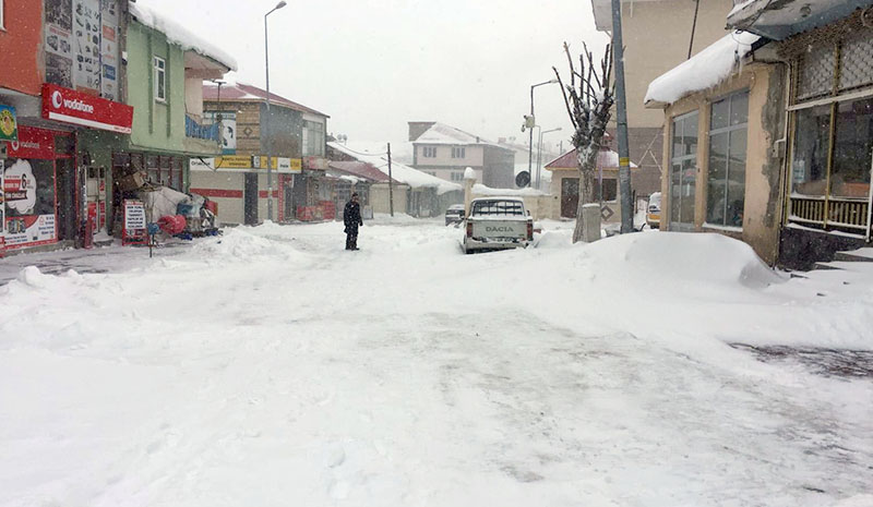 Sokak hayvanları için yem bırakıyorlar