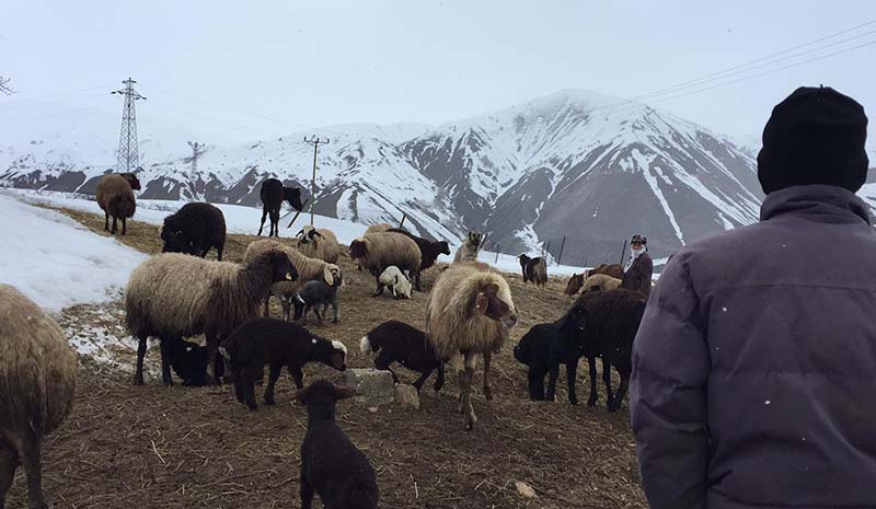 Bu kış onlar için zor geçti