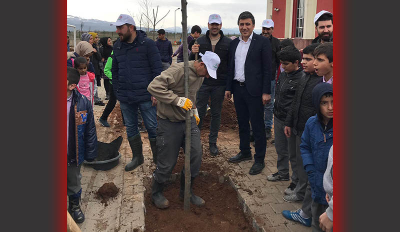 10 farklı fidan okul bahçesine dikildi