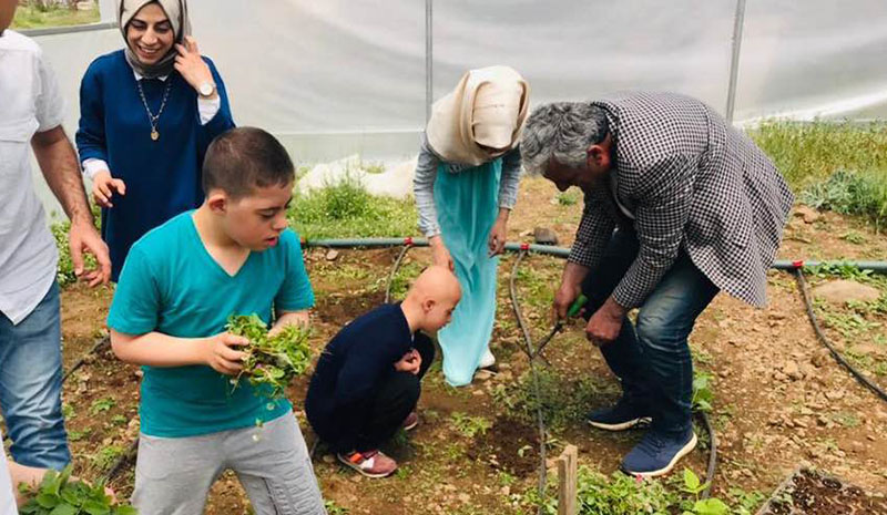 Önce ektiler sonra çapaladılar