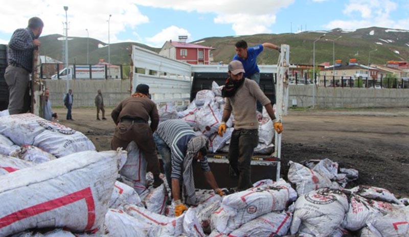 Karlıova`da Kömür Yardımları Başladı