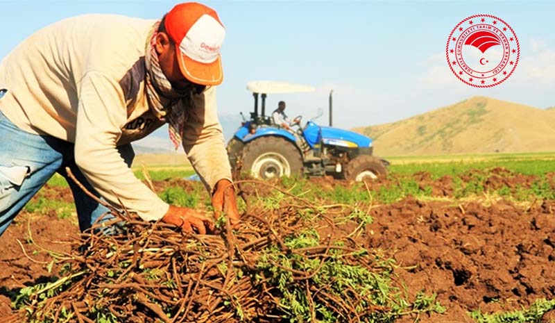 ÇKS Başvuruları 30 Haziran`da Sona Erecek