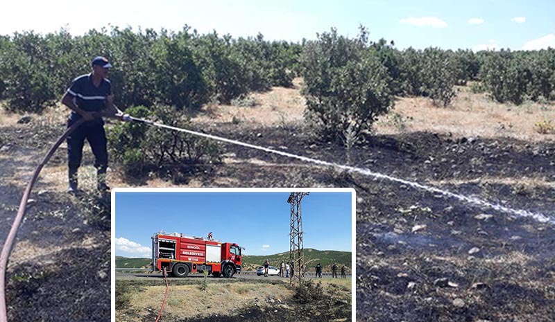 Yangın ormana sıçramadan söndürüldü