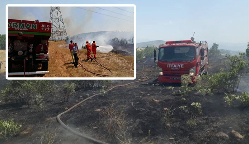 6,70 Hektarlık Orman Yangınlarda Yok Oldu