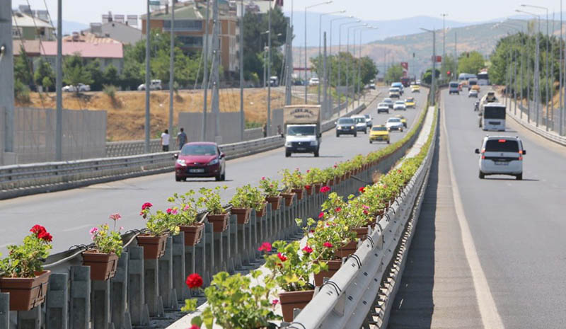 Çapakçur Viyadüğü Çiçeklendirildi