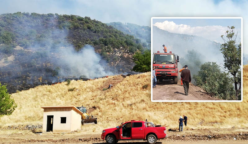 Orman yangını söndürüldü