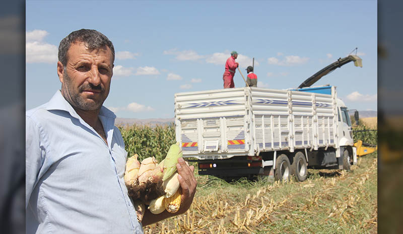 Çiftçinin yüzü gülmeye başladı