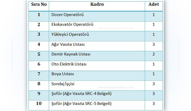 DSİ, 19 kadrolu işçi alacak