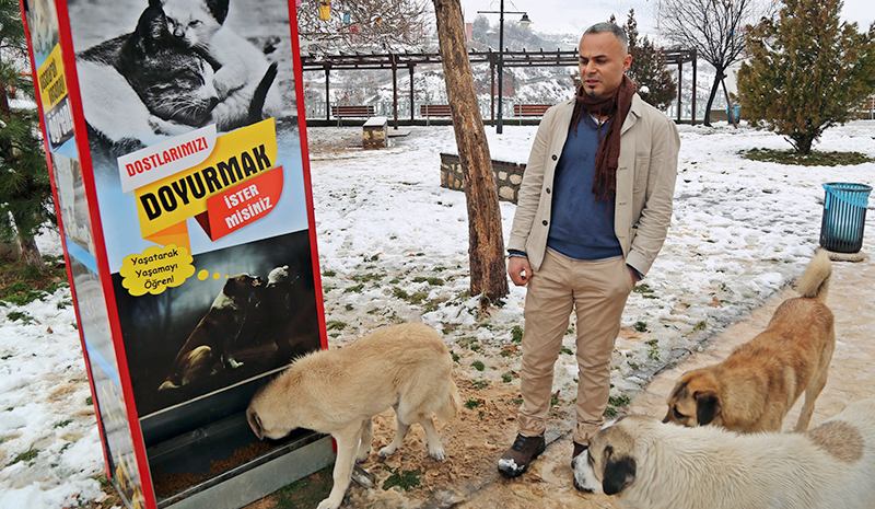 Sokak hayvanları için yaptı