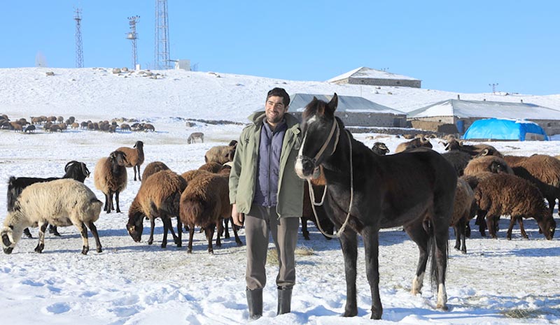 Saman fiyatı göçe zorladı