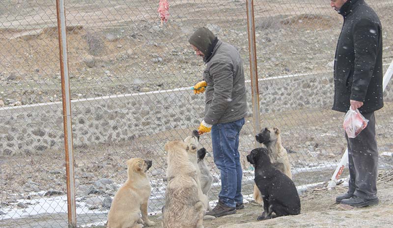 Çocukları gibi bakıyorlar