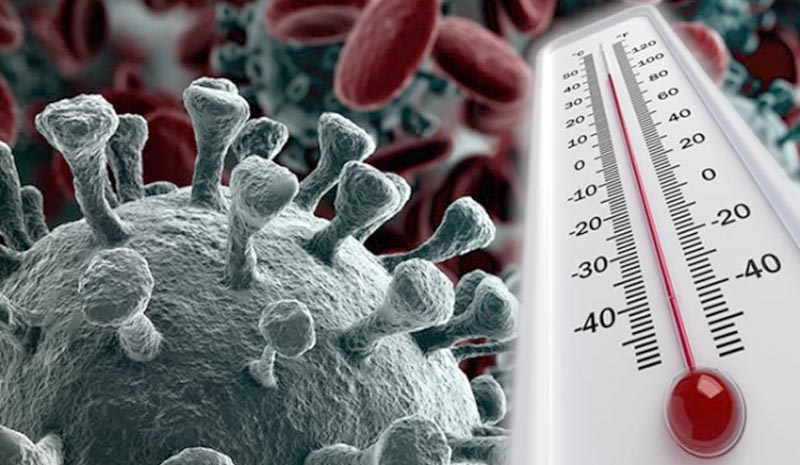 Koronavirüsün en çok yaşadığı sıcaklık derecesi belli oldu