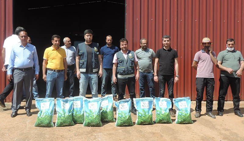 Çiftçilere 2 ton yonca tohumu dağıtıldı