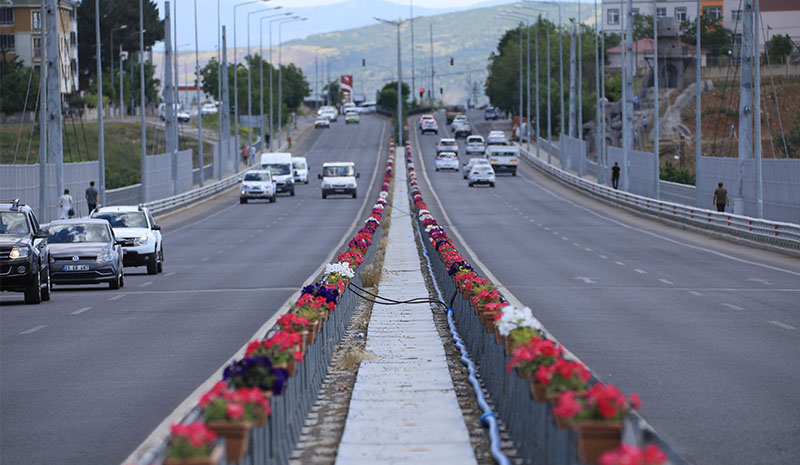 150 bin bitki toprakla buluştu