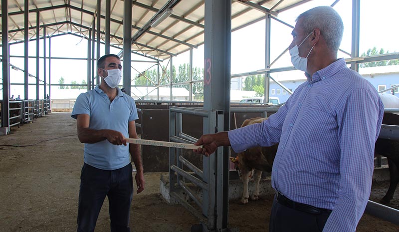 Kurban pazarında `Pazarlık Çubuğu` dönemi