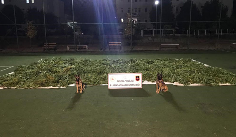 Jandarmadan uyuşturucu ve terör operasyonu