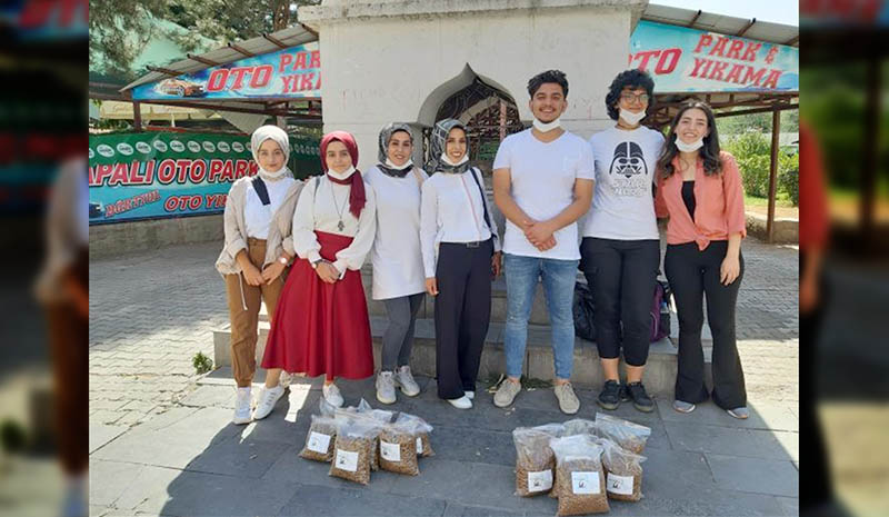 Sokak kedileri için mama bıraktılar