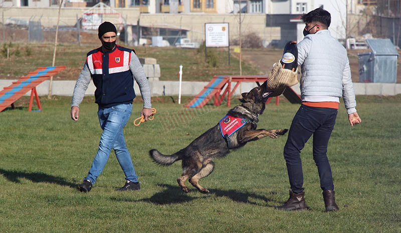 `Keskin burunlar` suça ve suçluya göz açtırmıyor