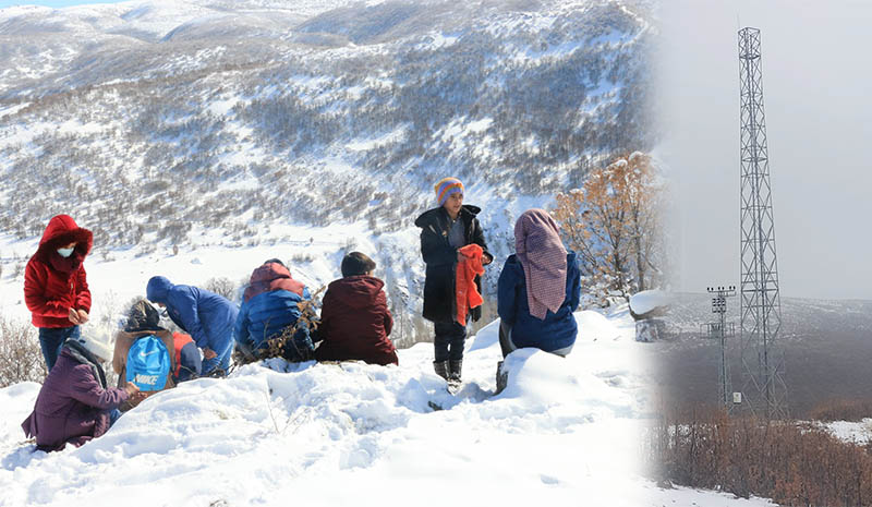 Ders çalışmak için zirveye çıkıyorlar!