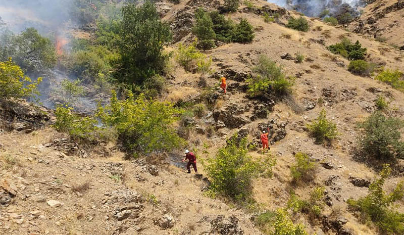 Tapantepe`de çıkan yangın söndürüldü