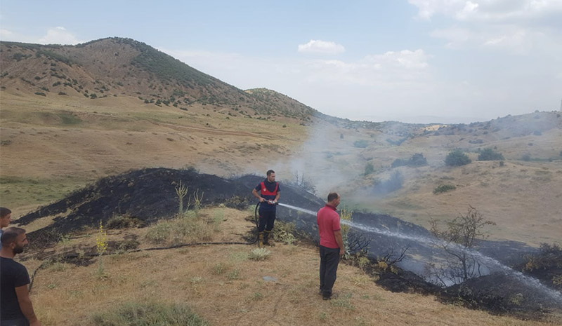 Yangın, ormana sıçramadan kontrol altına alındı