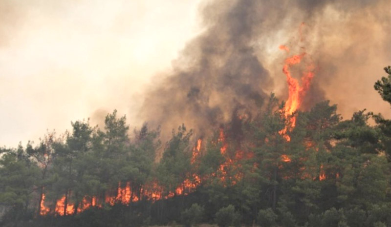 Orman yangınları için dev bütçe! Resmen açıklandı