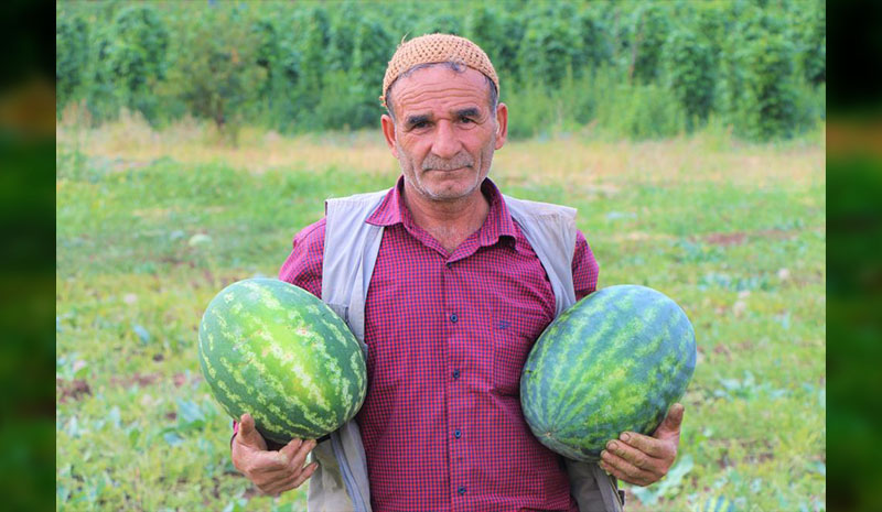 Kendi ektiği ürünleri, 15 yıldır yol kenarındaki tezgahında satıyor