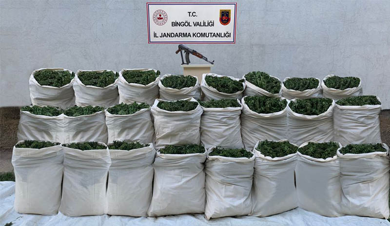 665 kilo esrar, 10 bin kök kenevir ele geçirildi