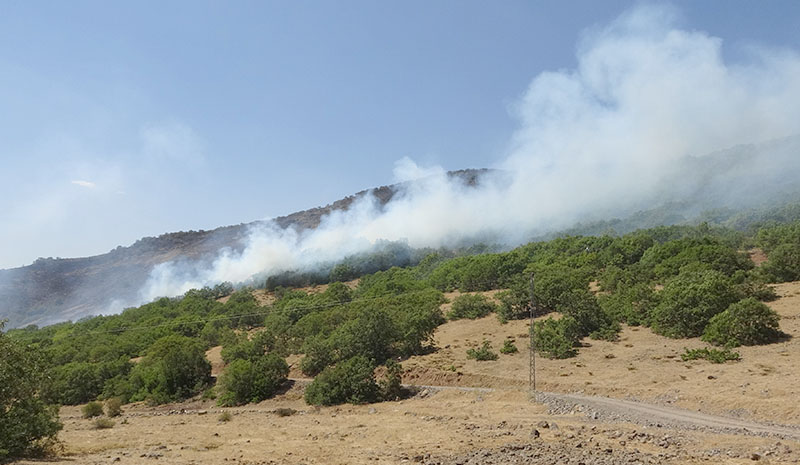 Orman yangına 100 kişilik ekip müdahale ediyor