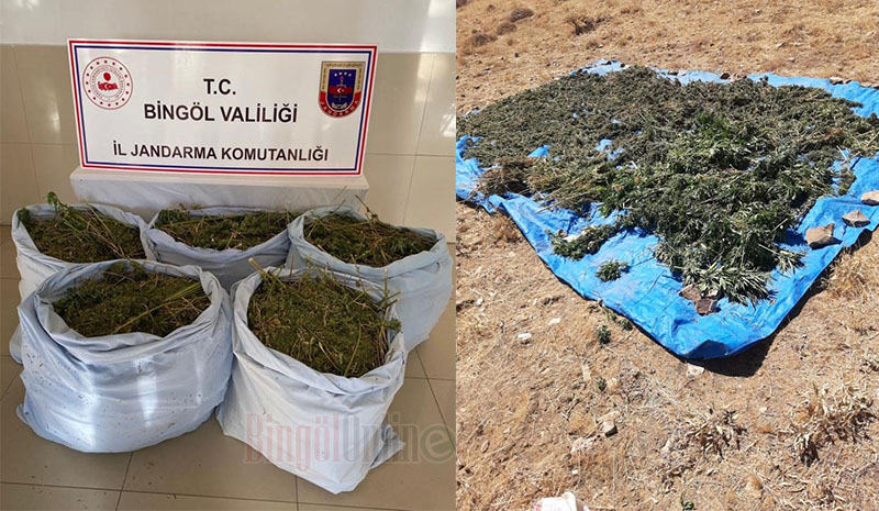 78 Kilo Kubar Esrar Ele Geçirildi