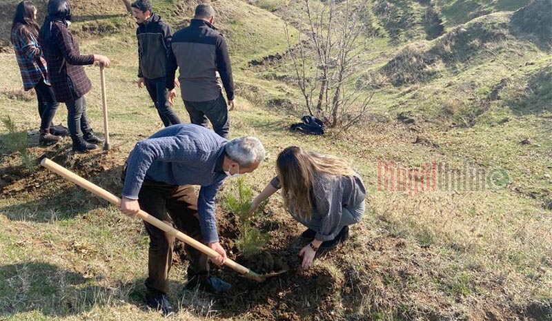 Sağlıkçılar fidan dikti