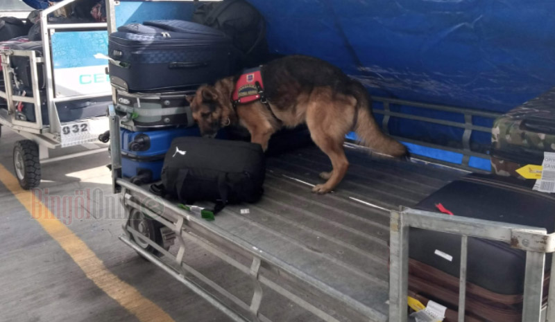 Havalimanındaki şüpheli çantaları `onlar` kontrol ediyor