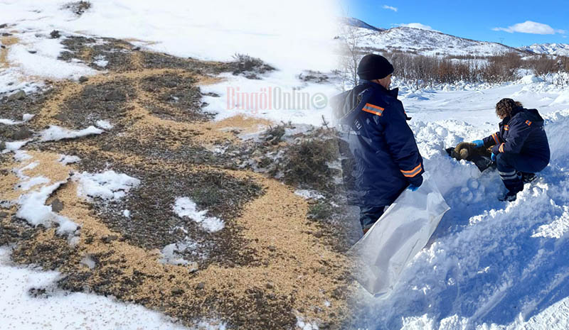 Belediye ve doğa koruma ekipleri, doğaya yem bıraktı