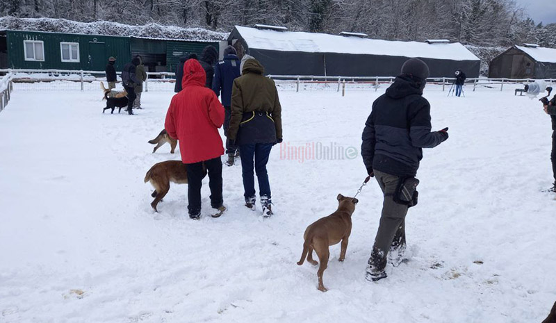 Bingöl SAR`da arama kurtarma köpeği göreve başlayacak