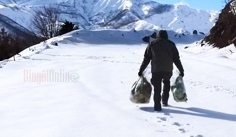 Doğa Koruma ekiplerinin yemleme çalışması sürüyor