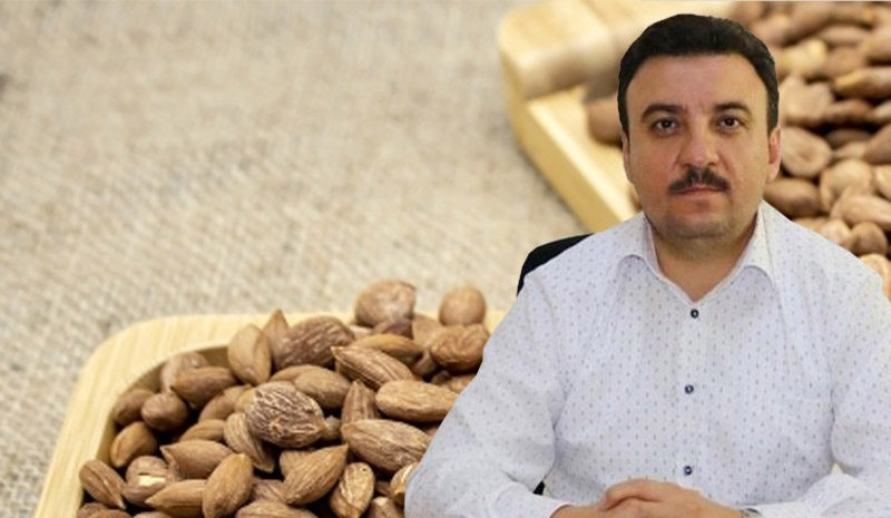 Kayısı çekirdeğine Bingöl`den değer katacak