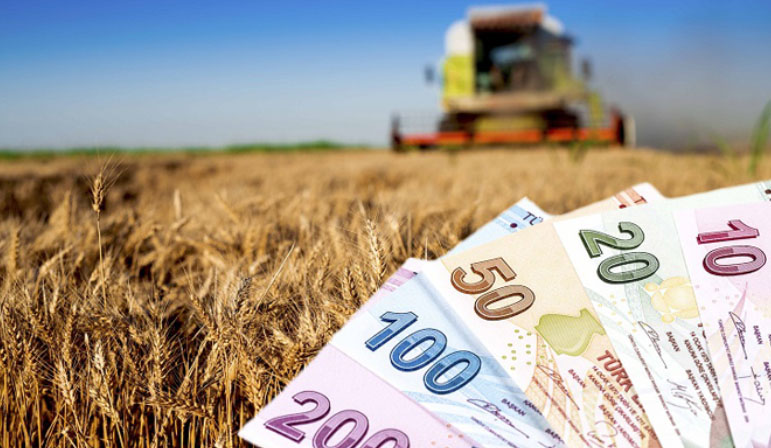 Tarımsal destek ödemeleri bugün hesaplara yatırılıyor