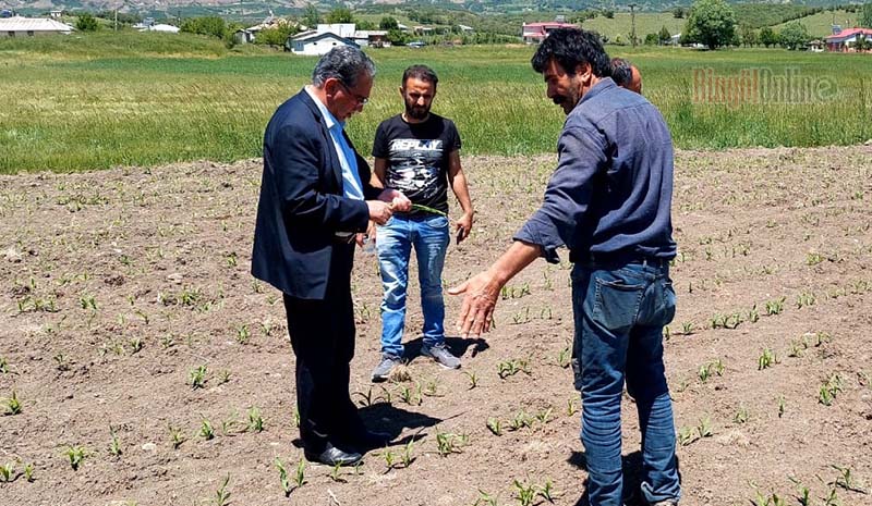 Çiftçilere hibe destekleri arttırılmalı