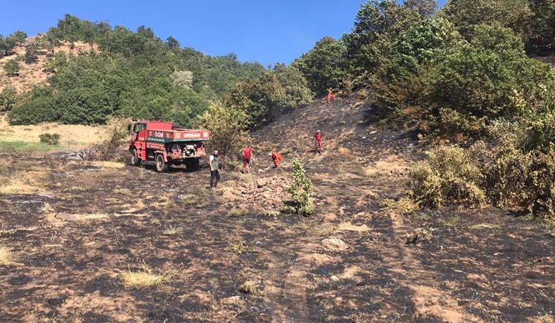 Orman yangını büyümeden söndürüldü